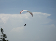 IMG_6155.jpg