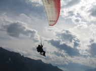 IMG_7332.jpg