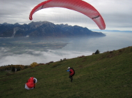 IMG_7719.jpg