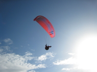 IMG_7999.jpg